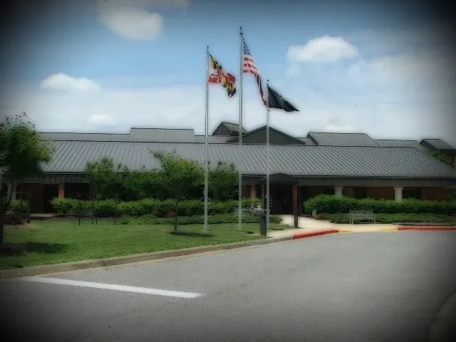 Cover Image of the Post