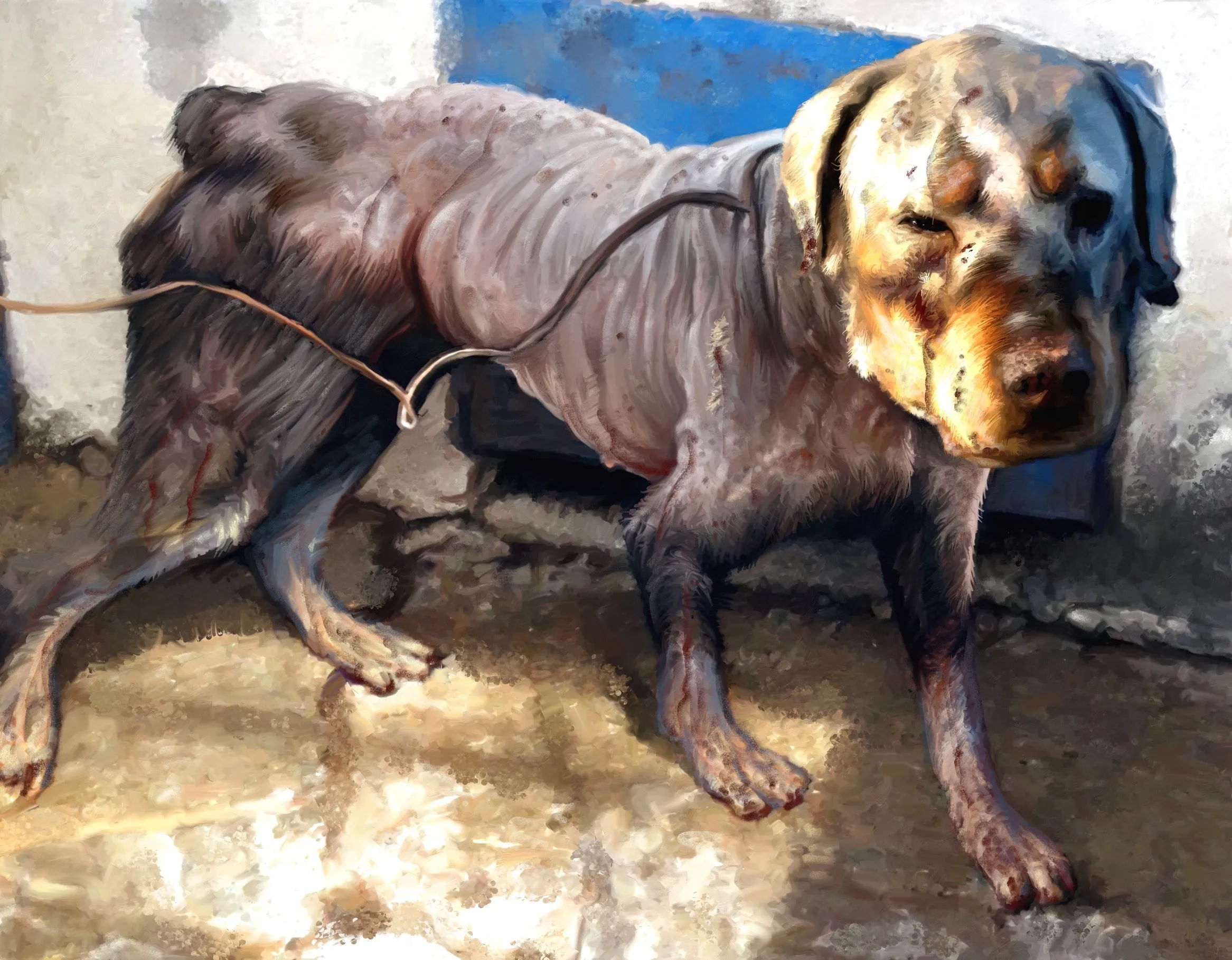 Cover Image of the Post