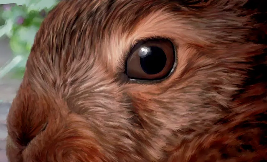 Cover Image of the Post